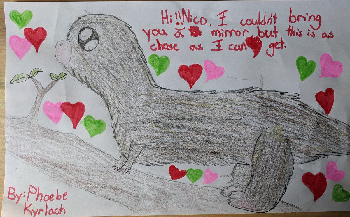 mlkyrlach's tweet photo. Phoebe's picture of Rico the porcupine! ##ZooHomeSafari https://t.co/PP1LOAo9NZ