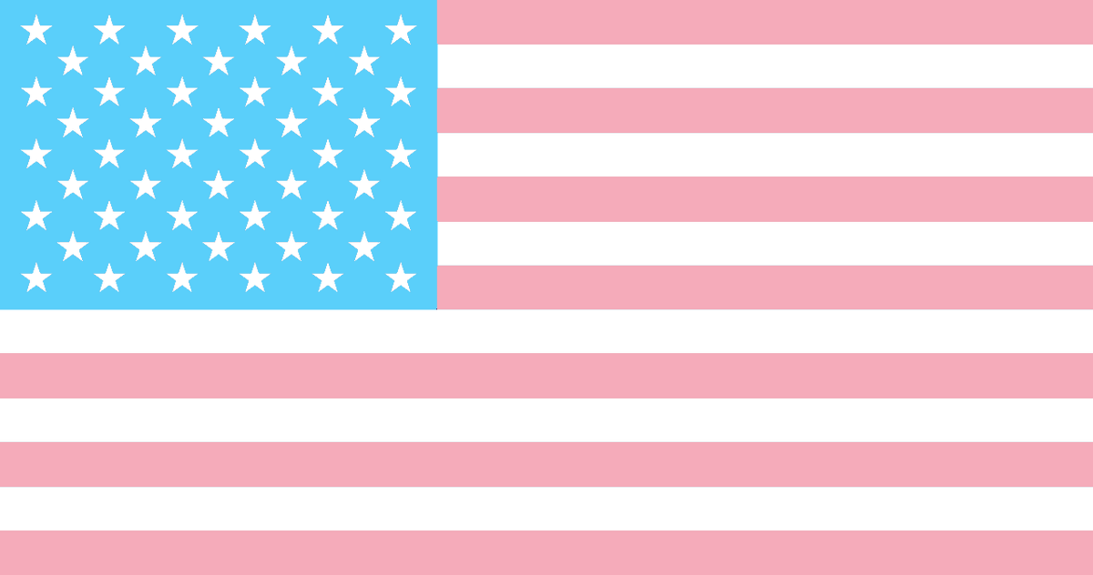traabot's tweet photo. Flag of the United States of America except I left it in the wash for too long and absolutely nothing else is going on. https://t.co/ogPEGK4yNg https://t.co/4bm9V8DNEj
