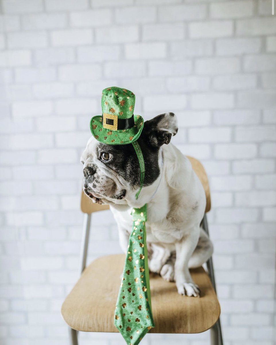 facesottawa's tweet photo. ☘️Congratulations @tyrabright23 you’ve won our St. Patrick’s Day Contest! You’ve won $2200 cash, plus $2200 to an Ottawa charity you choose + you’ve won $100 gift cards to @Cabottos + Giovannis, $50 to @Lumber_Jaxe + 4 rounds of golf at the Canadian ☘️ #ottawa https://t.co/jqBw7yFSFp