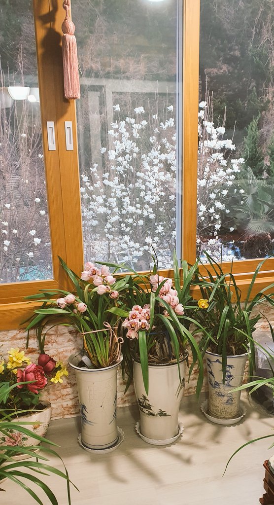 잠시 꽃으로 느끼는 봄의 정취