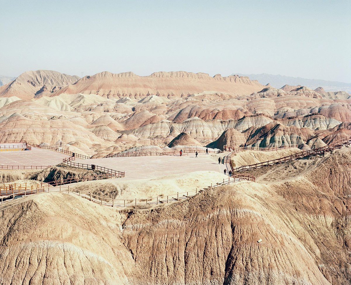 FotoRoom tweet media