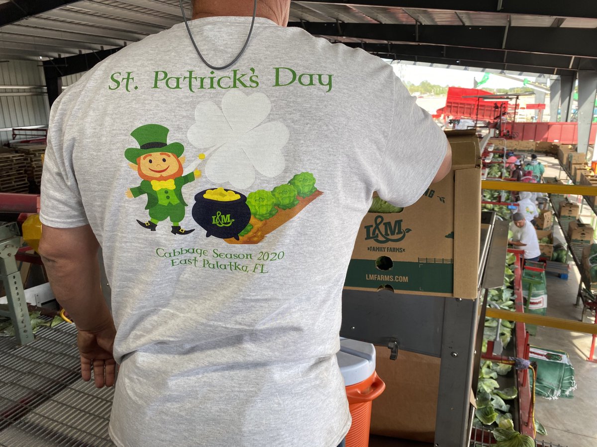 LMCompanies's tweet photo. A peek behind the scenes of the #cabbage on your #StPattysDay plate! 🍀 https://t.co/zDmjithw6y