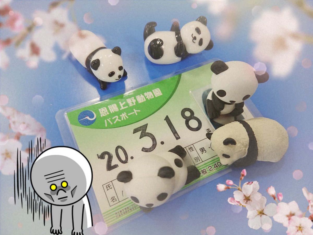 年間パスポート 年間パスポート