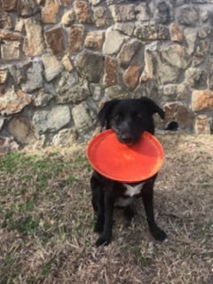 Sara Reed tweet media