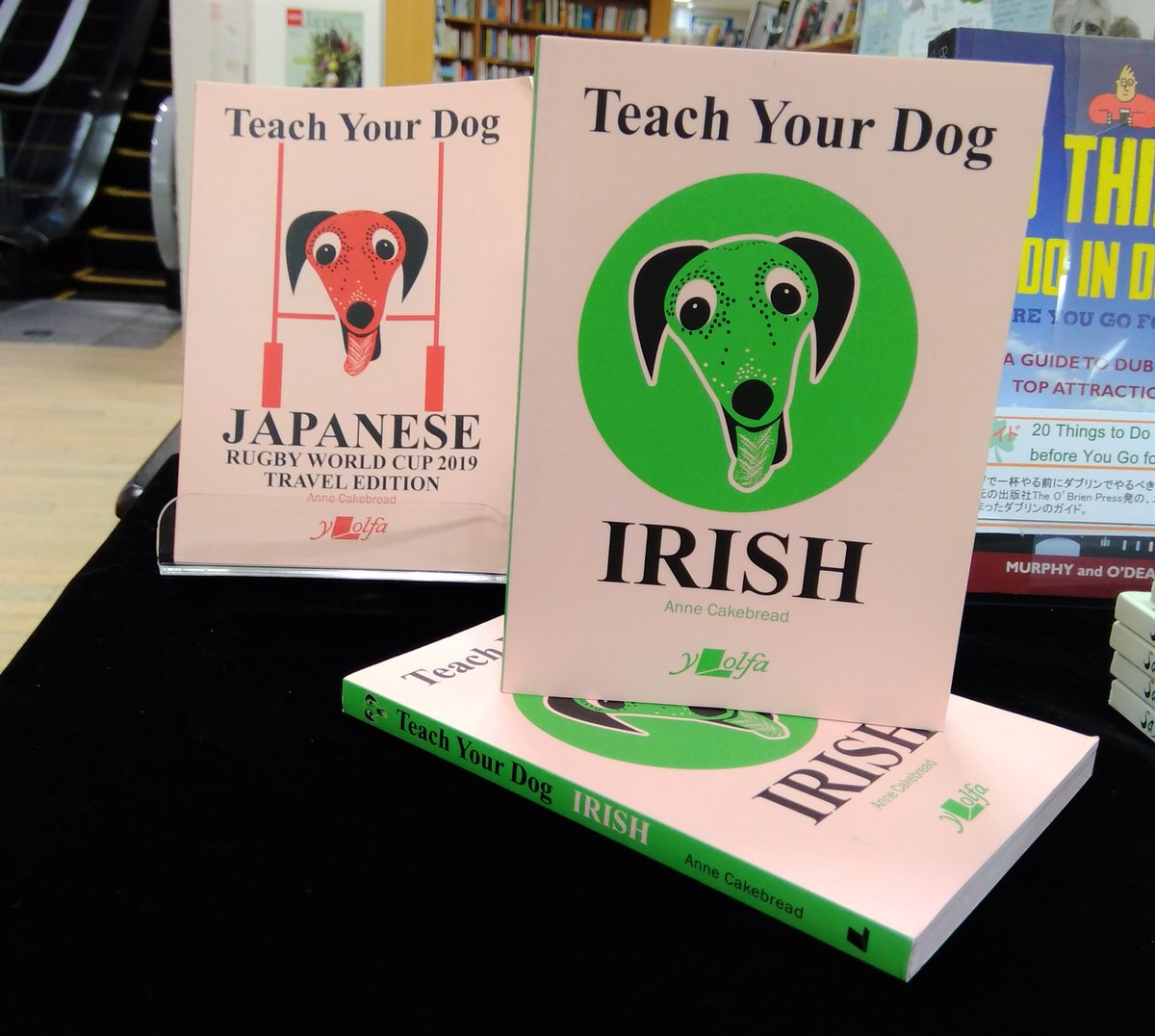 Bookskinokuniyatokyo 洋書専門店 Twitter પર アイルランドフェア 本日入荷した本をご紹介 Teach Your Dog Irish 昨年のrwcに合わせて出版されたteach Your Dog Japanese Rugby World Cup 19 Travel Editionと同じシリーズで ワンちゃんに対して使う
