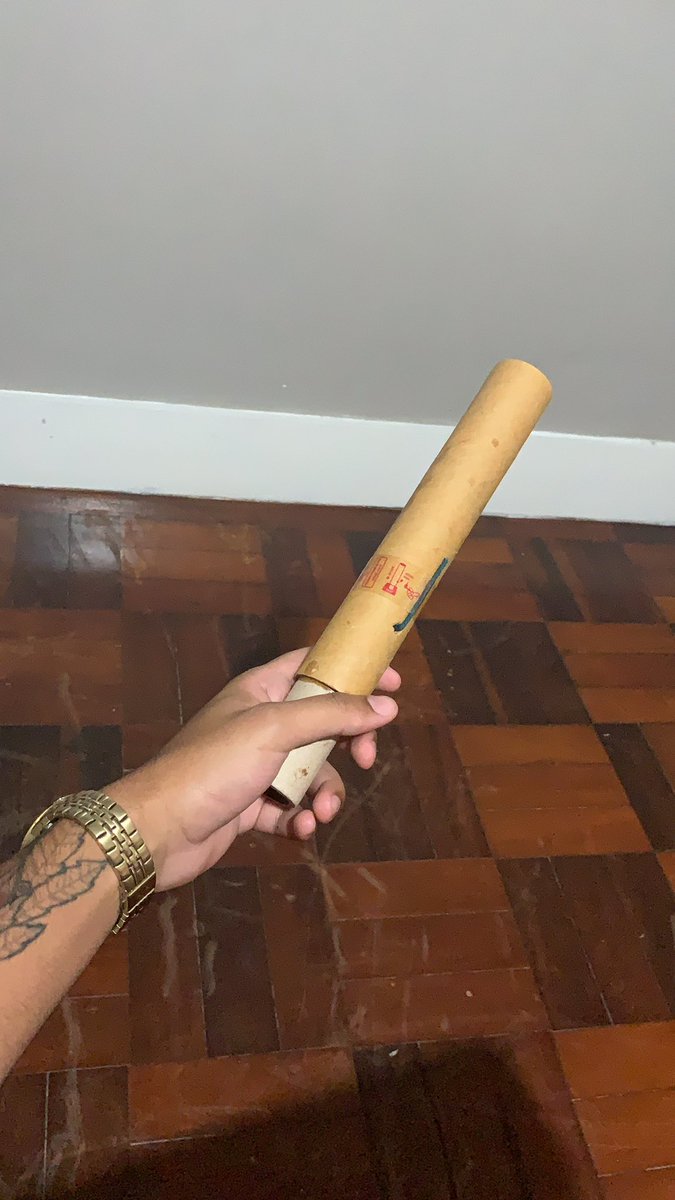 sepmicael's tweet image. Essa é pra vc Babu #ForaPyong