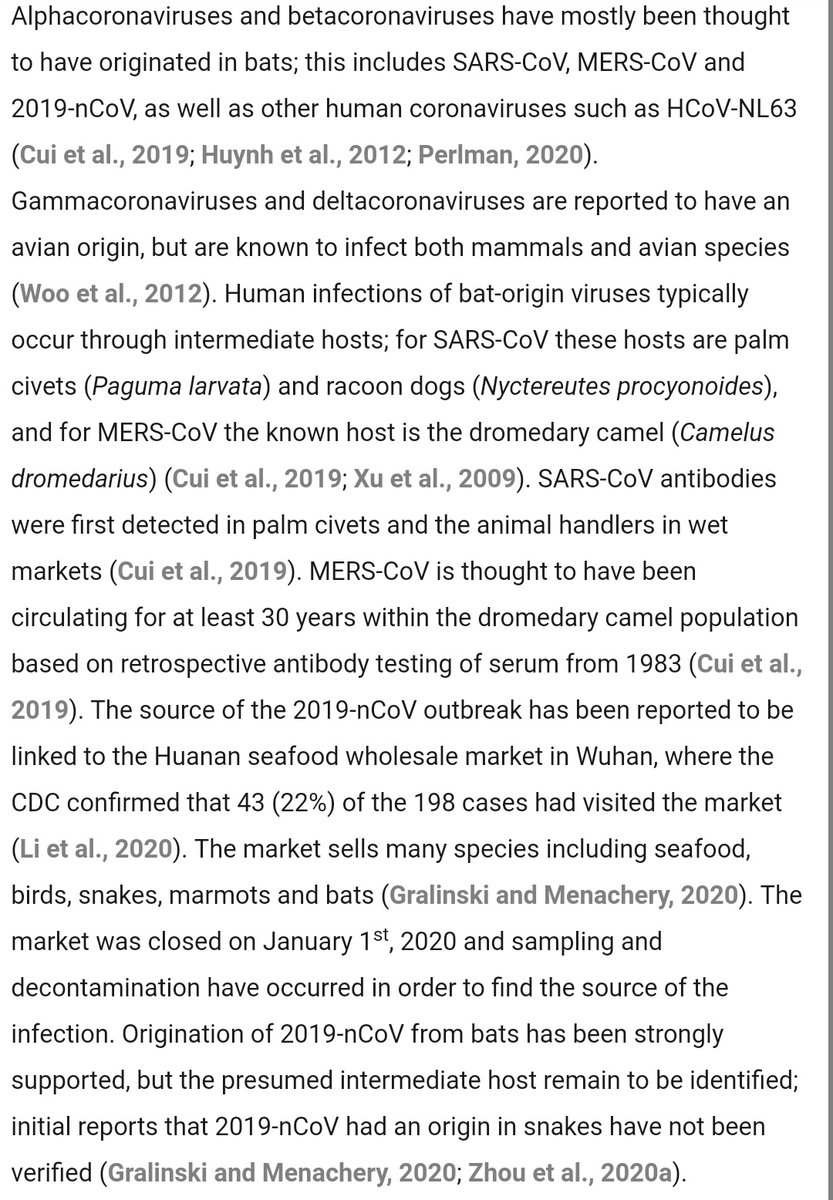 2019-nCov (SARS-CoV-2) is a betacoronavirus.These generally infect mostly bats as their reservoir species, with some intermediate propagation through civets and raccoon dogs.