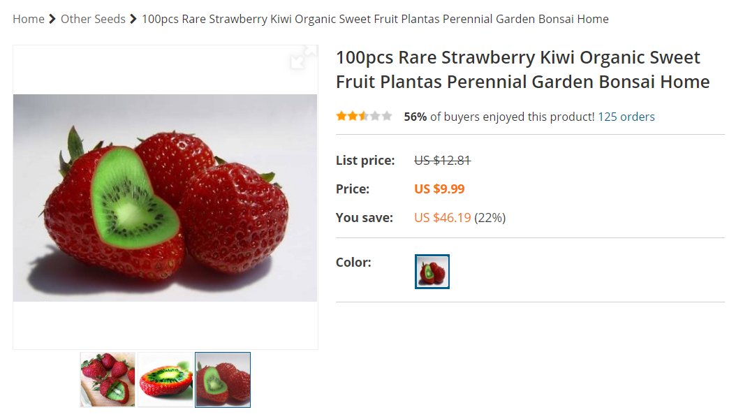 Rare Strawberry Kiwi bonsai Organic Sweet Fruit bonsai Of Perennial Garden