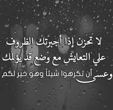 Ali Qenawi (@alyabass) on Twitter photo 