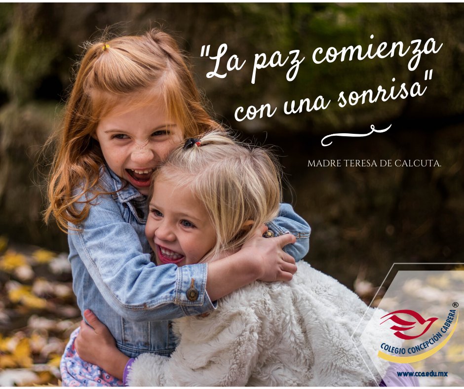 Colegio_CCA's tweet image. #Preescolar #PreescolarCCA #Primaria #PrimariaCCA
cca.edu.mx