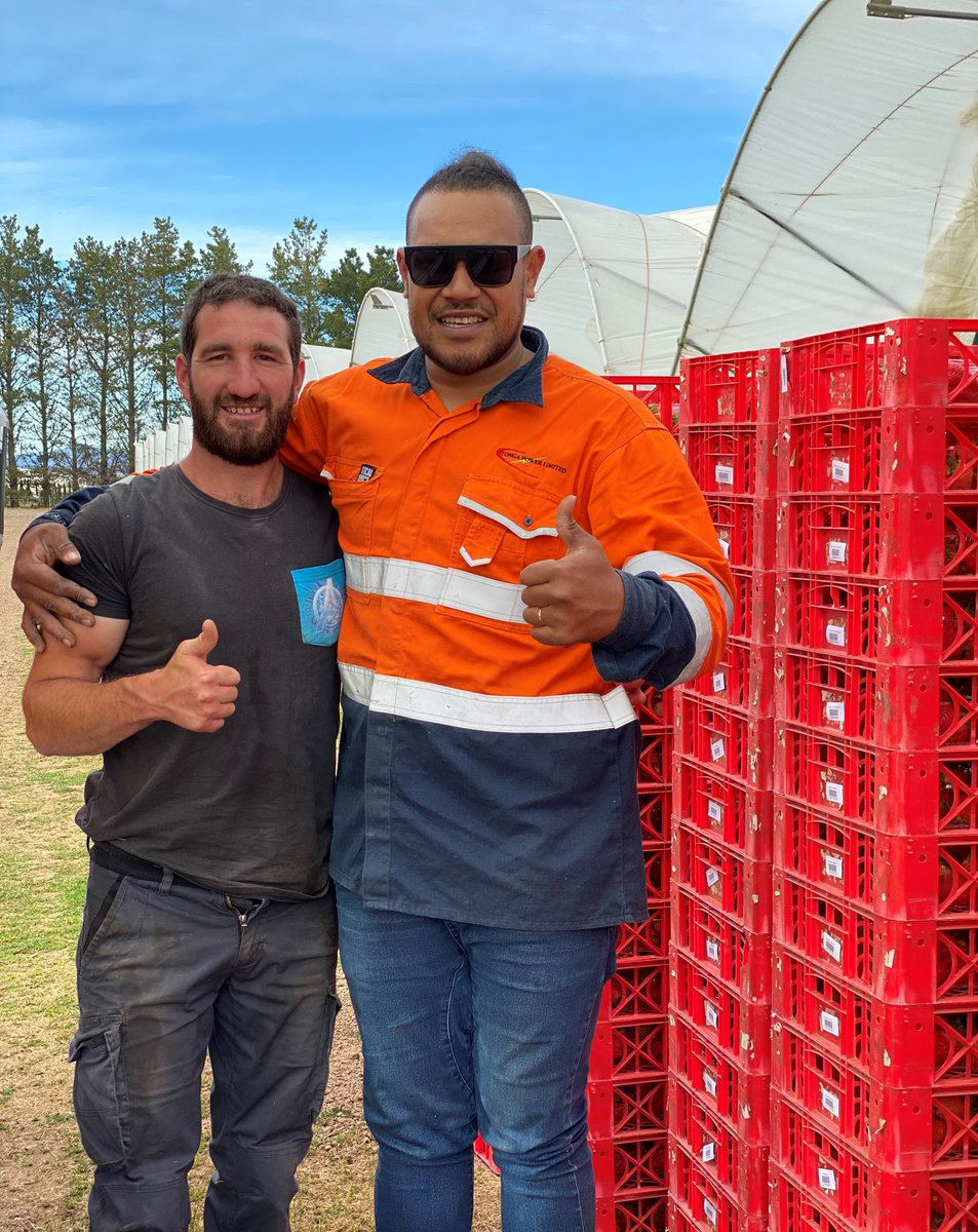 Say hello to Jade &amp; Kia, two of our fruit truck drivers. Jade &amp; Kia play a crucial role at <a href="/BurlBerries/">Burlington Berries</a> making sure the 🍓 is picked up in field &amp; safely transported to the packhouse. During peak, they supervise 4 fruit trucks &amp; it’s busy work! Big thank you to two of the best 👍