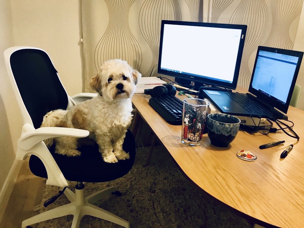 Namecheap's tweet photo. Currently working from home? We are too! Check out a few snaps of Team Namecheap making their homes more productive spaces https://t.co/3MfEPOP62j