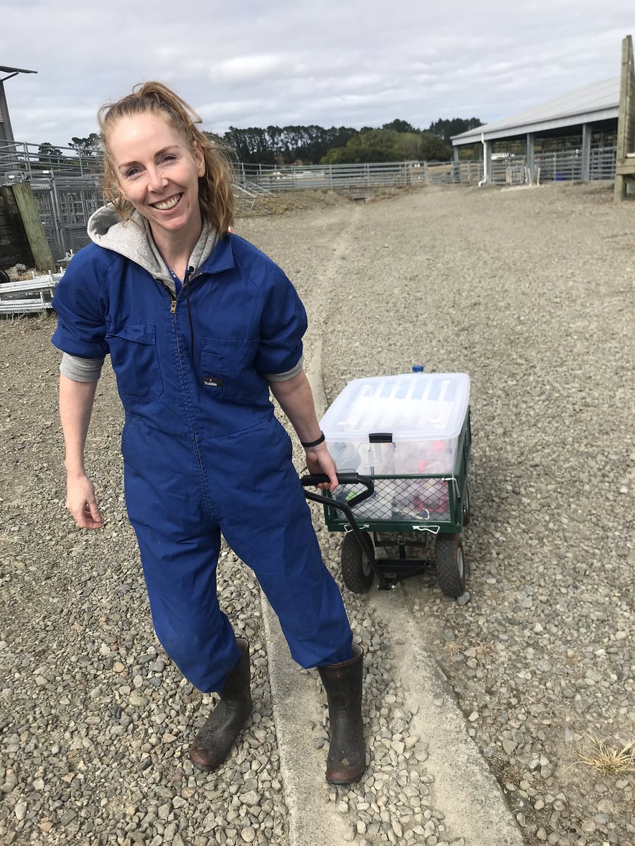 Leahy_SC's tweet image. Who’s idea 💡 was it to go rumen sampling the day after St. Patrick’s Day 🇨🇮 oh wait! #NeedaCupOfTea #Methlab @AgResearchNEWS @GRA_GHG