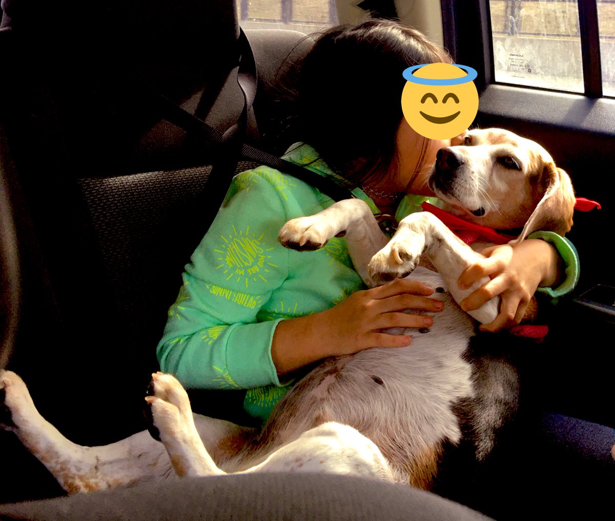 Puppy love-