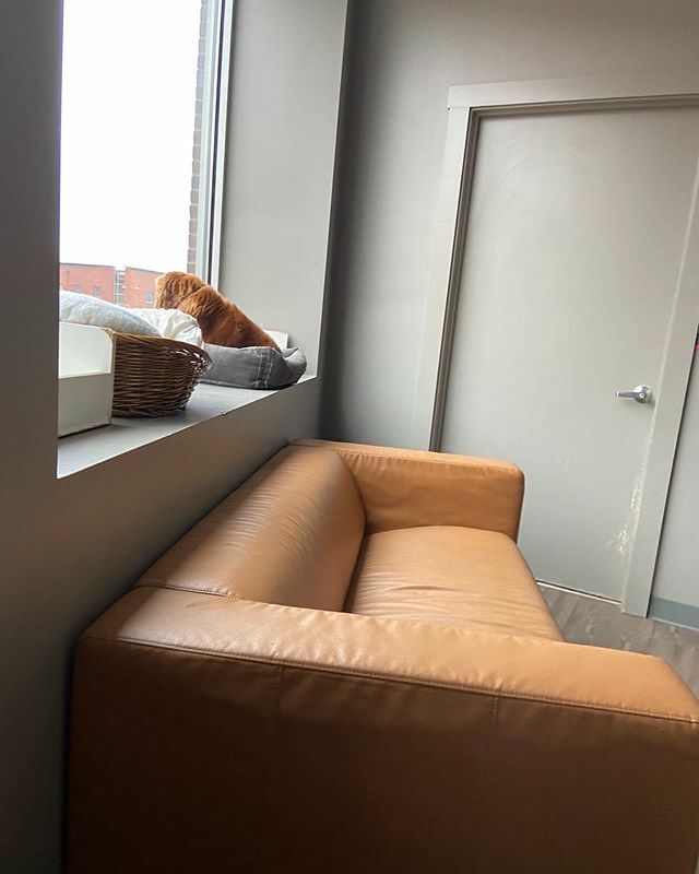 Logan, checking out the world. She says it’s Boston, but it’s quiet and creepy. ift.tt/2Qp5N3n