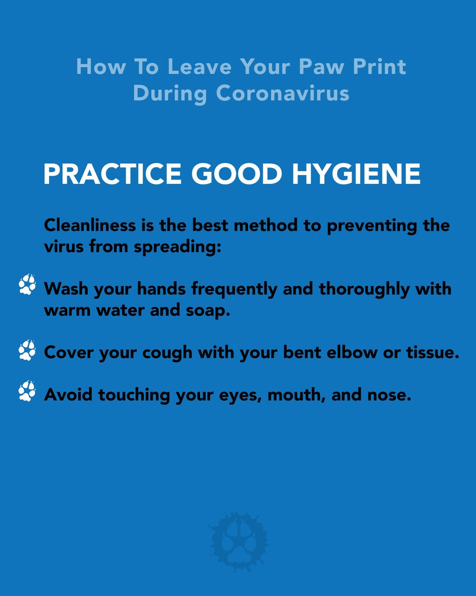 EngageCSUSB's tweet photo. Hey Yotes!
Here are some helpful tips to guide you through this challenging time.
Pt 1/2
#csusb #csusbleaveyourpawprint #engagecsusb #coyote4life https://t.co/ZbsKLW3a5e