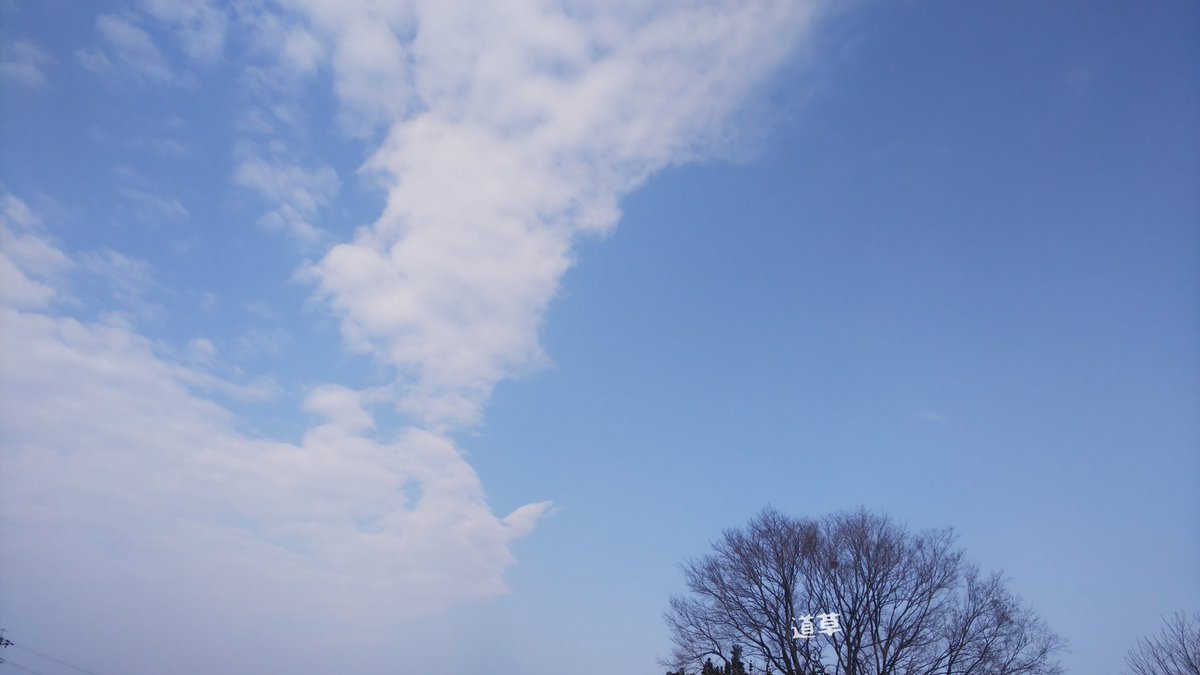 たよりにしてまっせ たよりにしてまっせ