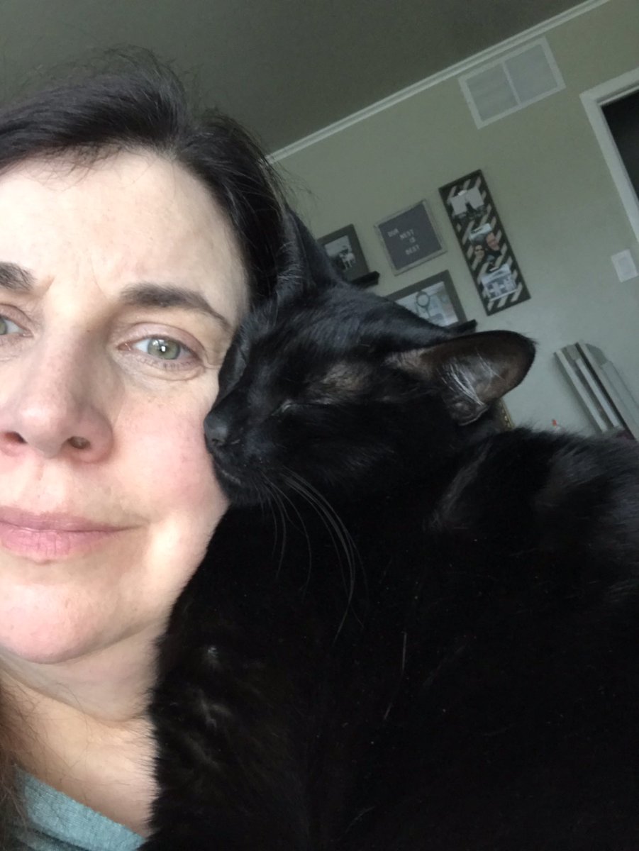 kayeb42's tweet image. My situation while I was teaching class today. #arva #k12