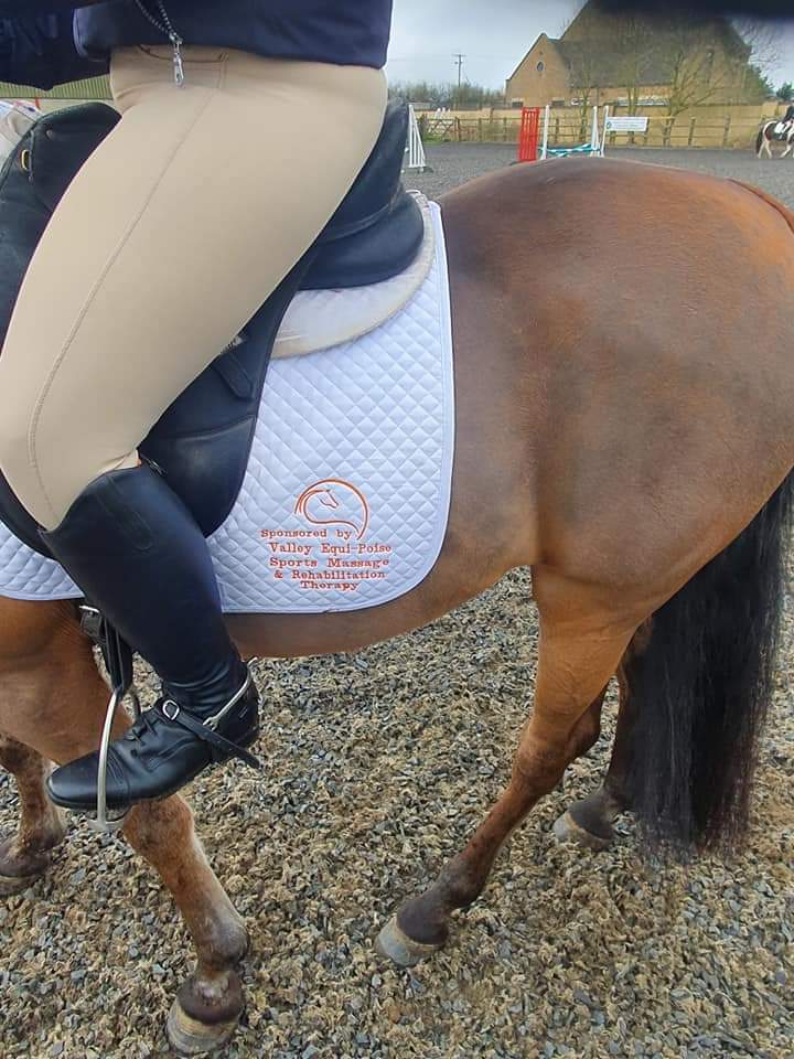 Out the past weekend for combined training with mouse. She was an absolute dream. Sporting our sponsor Valley Equi-poise and being a walking advert for the works company <a href="/premierequine1/">Premier Equine Int.</a> #ponyhour #horse