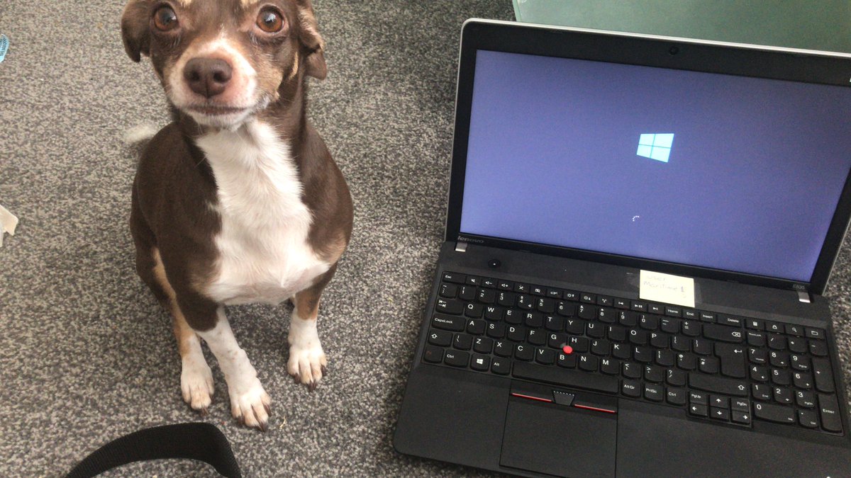 ‘DAY 1’ of working from home in the Isolation house and my new manager is proving difficult and somewhat demanding 🤓💻 #Coronavirus #covid_19 #staysafe #bigbrother #iswatching #work