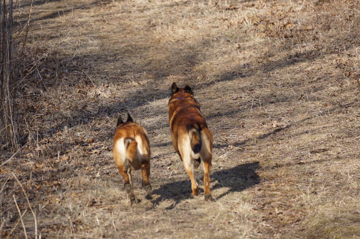 Don’t forget to get some exercise while we’re all avoiding social contact.