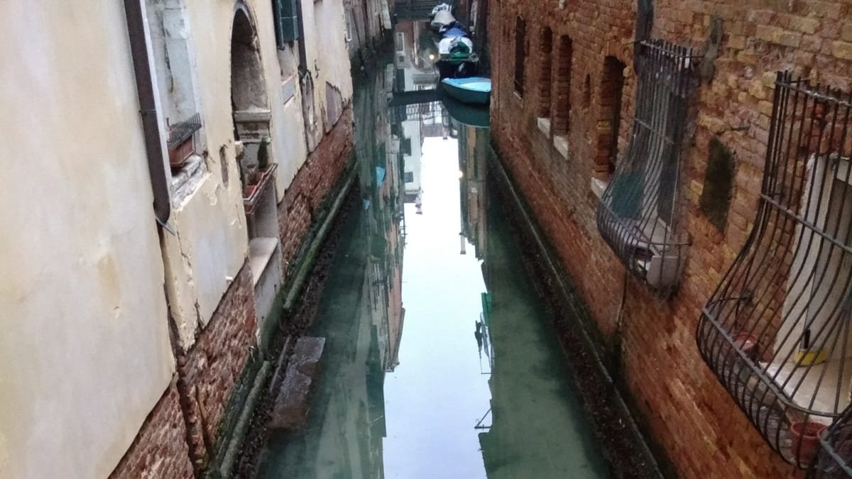 🇮🇹 #Italia: El agua de los famosos canales de #Venecia se tornaron más transparentes y claras después de que el tráfico de las góndolas cesara por la cuarentena que vive el país debido al #coronavirus.

📸 Marco Capovilla/Venezia Pulita