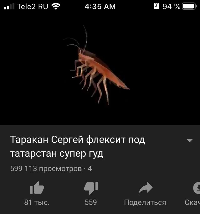 Я даже говорить ничего не буду