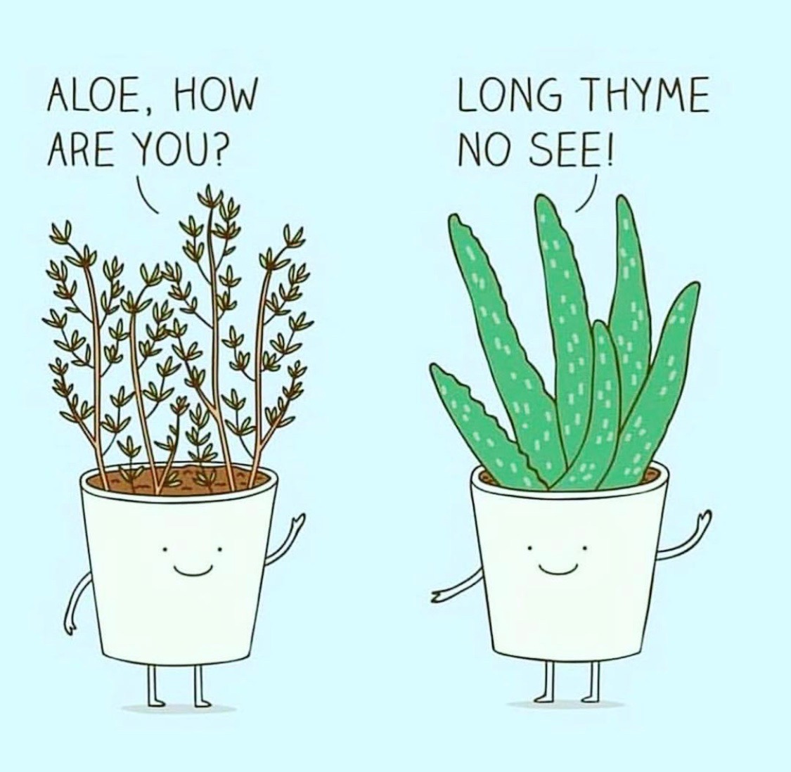 Aloe there! 👋