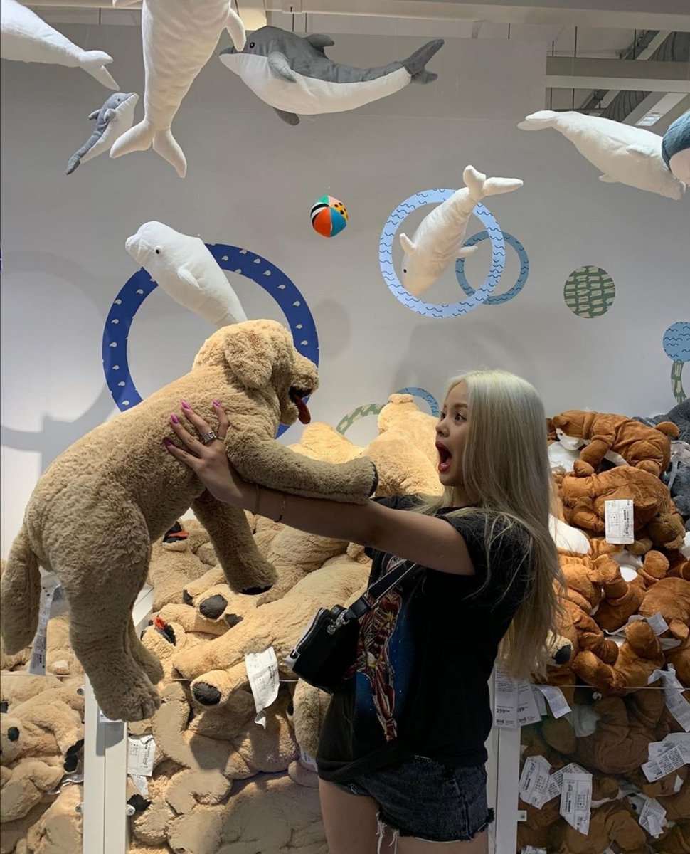 sornarchives's tweet image. hi, this is new account dedicated to clc's sorn! a simple retweet would really help to promote this account. thank you! 💘
@CUBECLC @sssorn_clc
#CLC #SORN #씨엘씨 #손 #สร