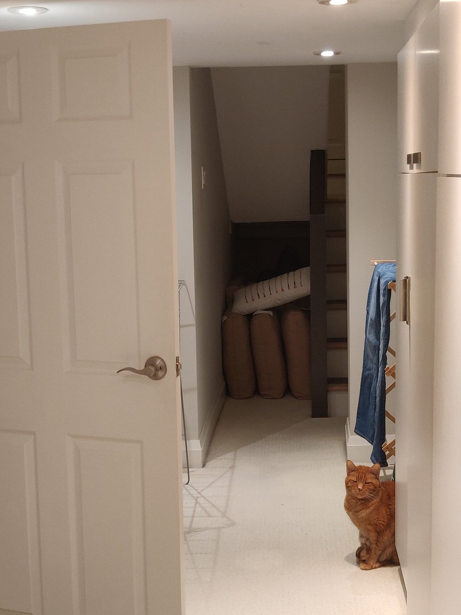 Chairman_Meow's tweet photo. Pass other humans like you would pass an angry kitty. https://t.co/RDpAK0VoaK