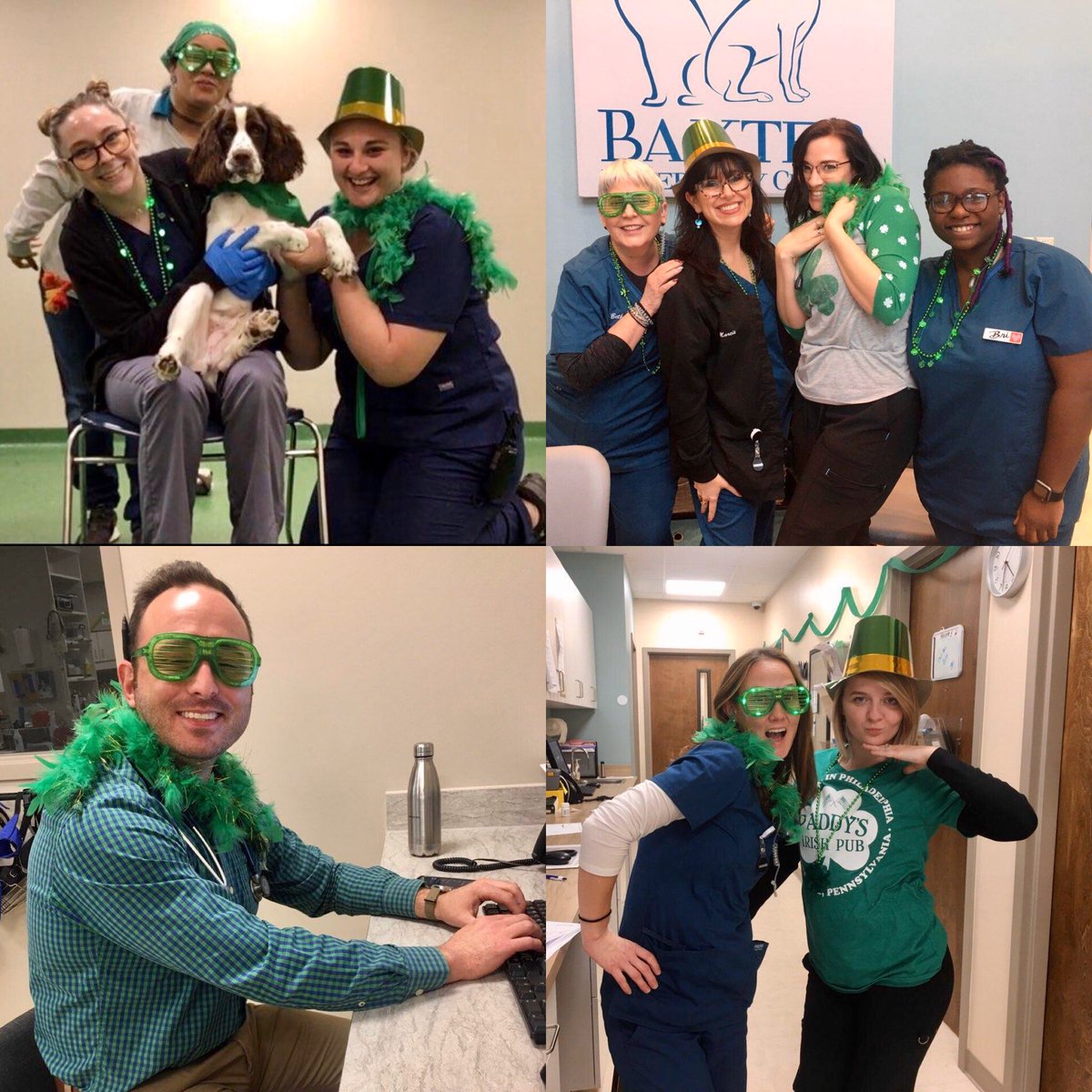 BaxterVetClinic's tweet photo. Happy St Patrick’s Day from your friends at Baxter Vet! https://t.co/ncgI1CIQ0T