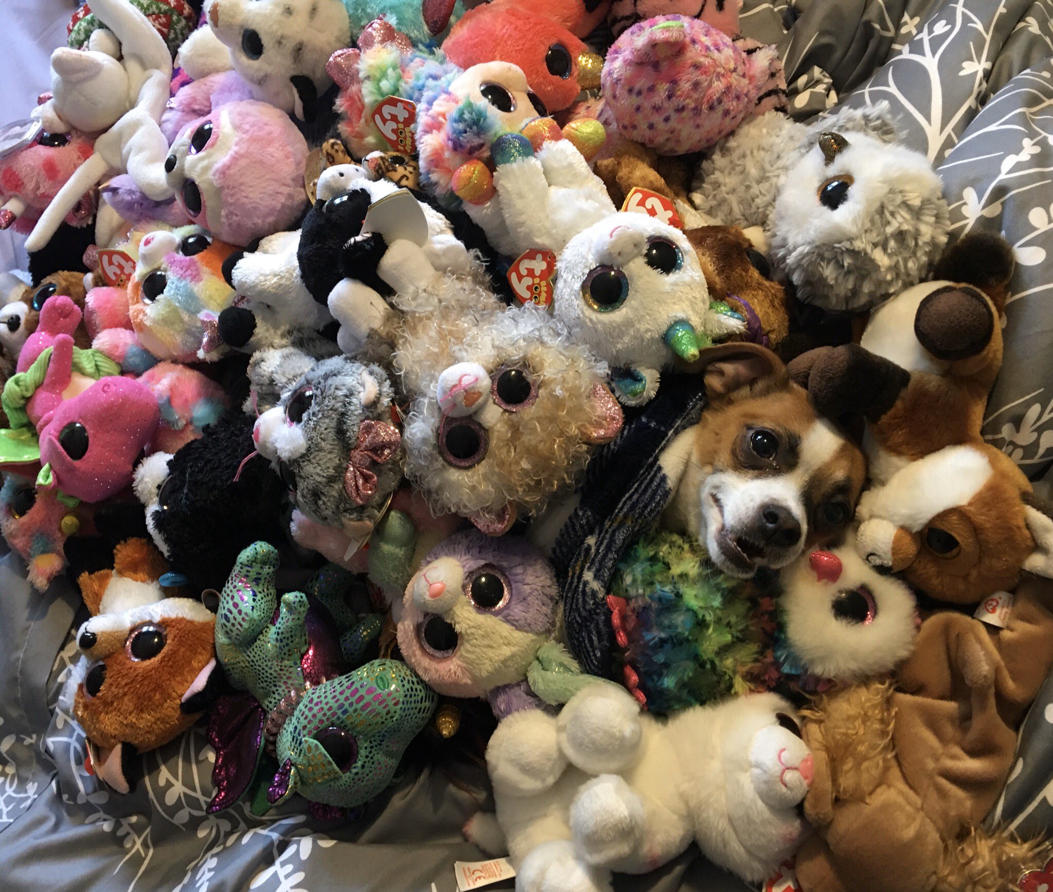 beanie boo claw machine