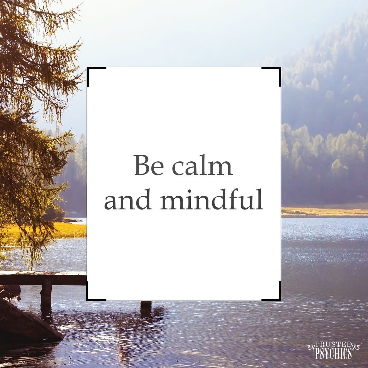 TrustedOz's tweet photo. Be calm and mindful, the rest will follow... 🌸

#TrustedPsychics #psychic #lake #peace #becalm #calmdown #mindfulness #lookafteryourself #kindess #meditaion #yoga https://t.co/oxAppfxKG8