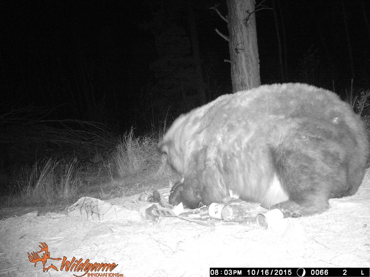 huntavid's tweet image. 