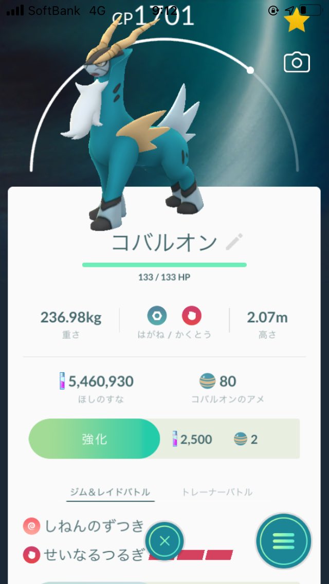 せいなるつるぎ せいなるつるぎ