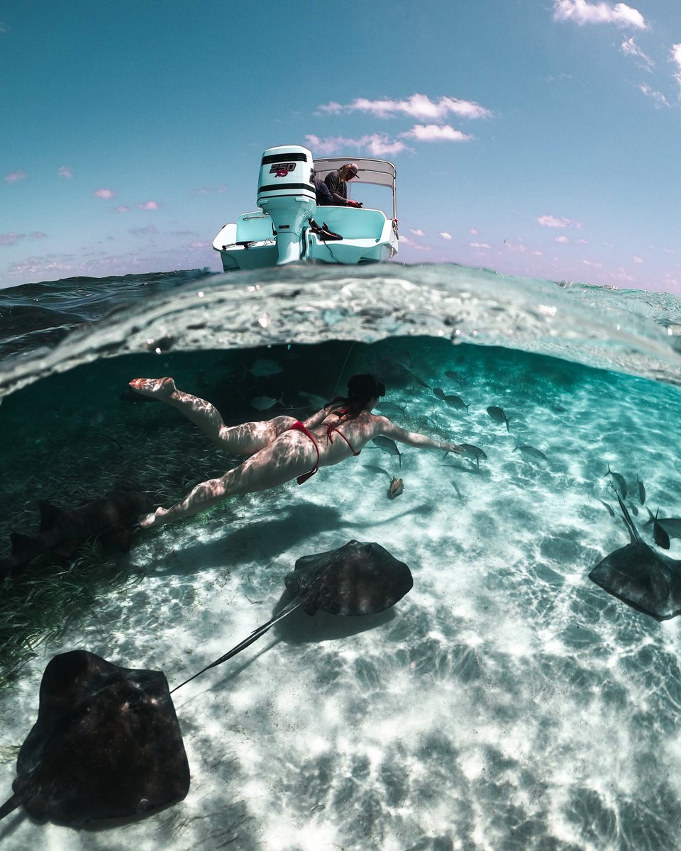 Idgaf that I never tweet this was an actual dream shot and I’m so happy