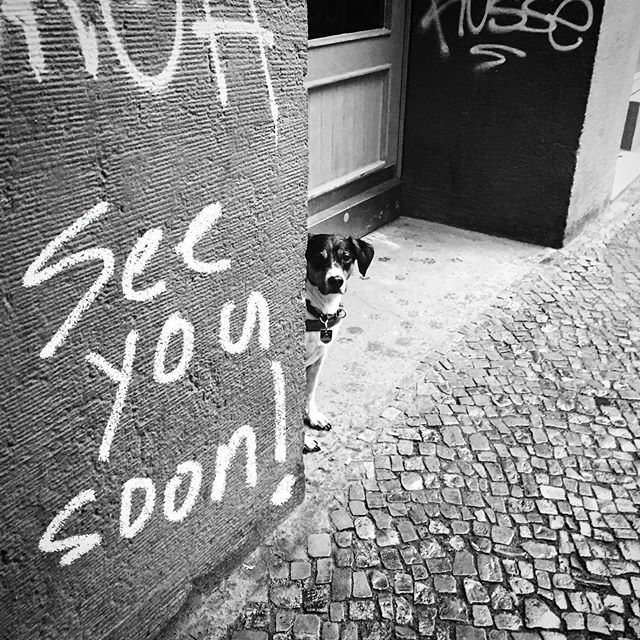 To ensure the safety of our customers and ourselves during these challenging times, we are closing our doors until further notice. Our online shop remains open and we look forward to fulfilling your orders either by post or personal appointments. We wish… ift.tt/33rdD1r
