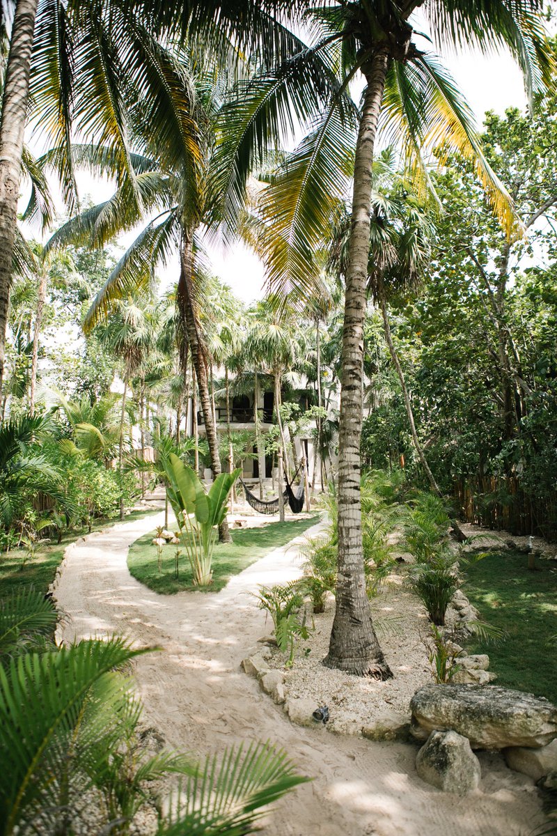 NEST Tulum tweet media