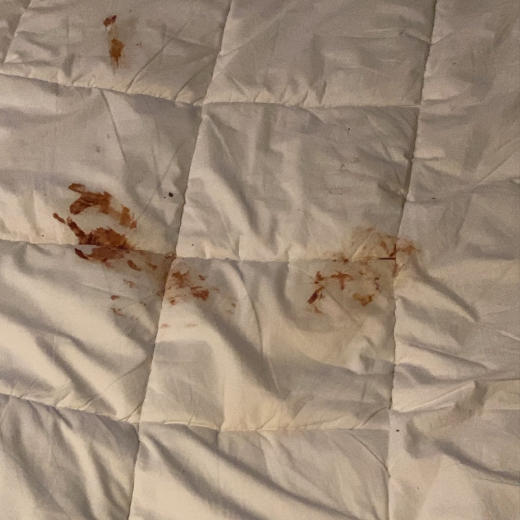 ajdeluxe_'s tweet photo. Woke up from a nap and thought I shitted myself but it turns out I just fell asleep on some Reese’s cups https://t.co/3iCNYDmS99