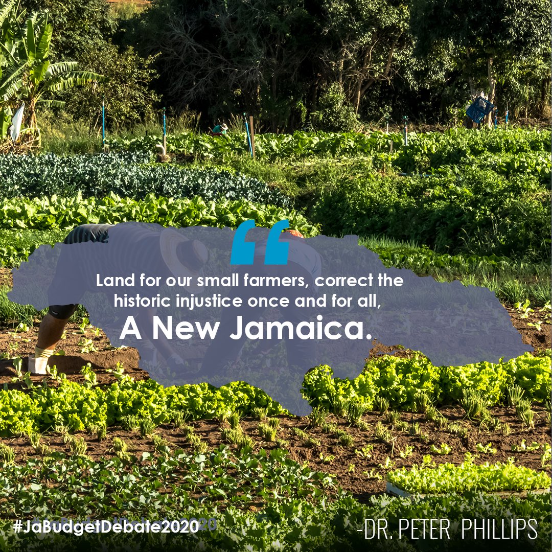 patsutherlandja's tweet photo. 150,000 new titles per year - that is the plan to put land in yuh hand. #TheRealWealth #JaBudgetDebate2020 #JamaicaPNP #PeterPhillips https://t.co/VXtaVFYLgT