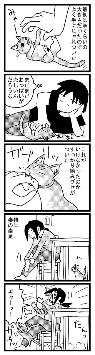 14 子猫はおもちゃで遊びましょう
https://t.co/cjOam9eSfh 