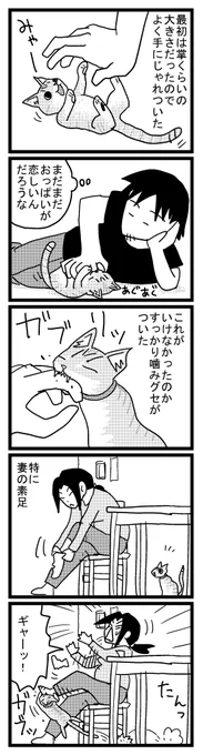 14 子猫はおもちゃで遊びましょう
https://t.co/cjOam9eSfh 