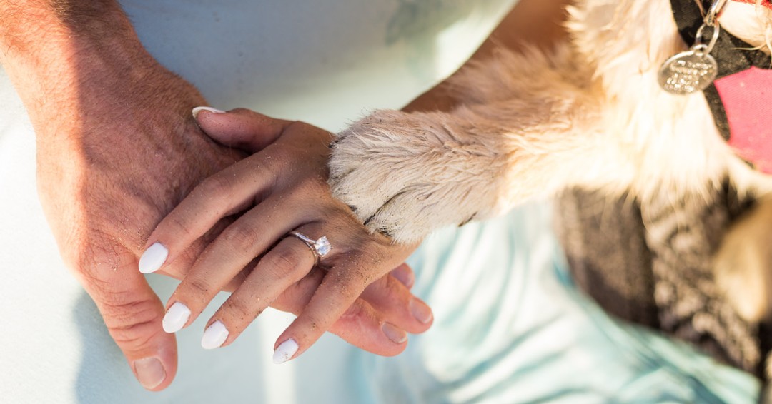 SparkleCut's tweet photo. Precious gems . . . and 💎✨#SparkleCut is spectacular, too❣️
👉🏽Link in bio. 👈🏽
😎✨#sayyestosparkle
✅✨#gotsparkle
💯✨#popthequestion
❤️✨#getayes
💍✨#putaringonit
🥂✨#shesaidyes
🐶#LoveYouFurever
🍖#IChewsYou https://t.co/JlTjQh4xFx