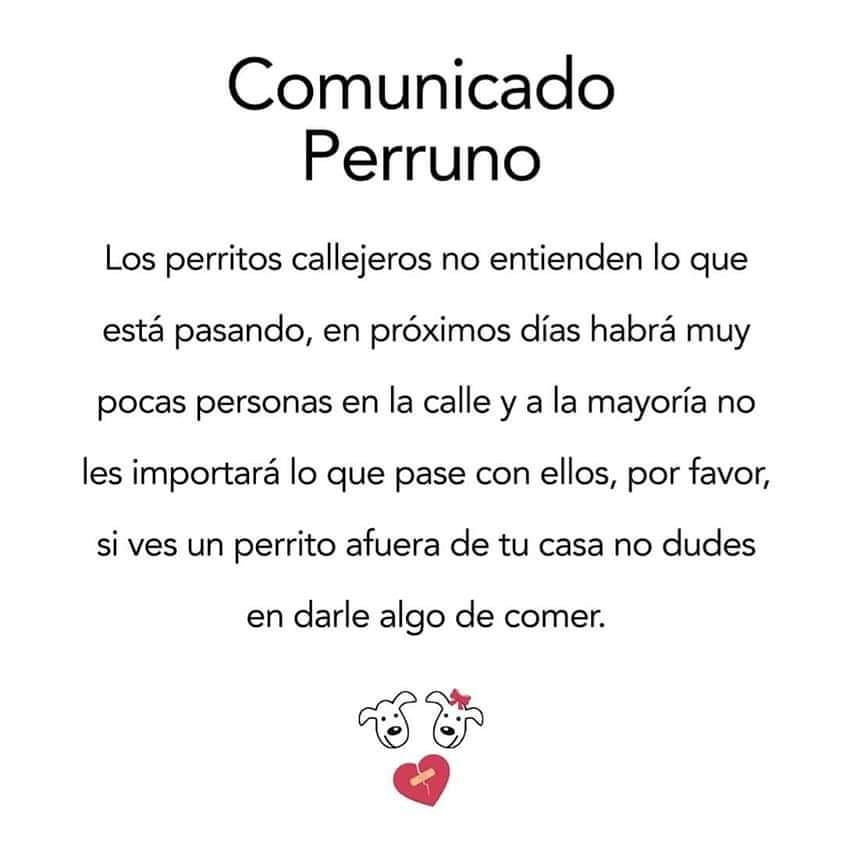 🙏No los podemos salvar a todos , pero si les podemos hacer más  llevadera su vida en la calle, cuídemonos pero no los olvidemos!!!🐾🐾💞🐾🐾🐶🐱