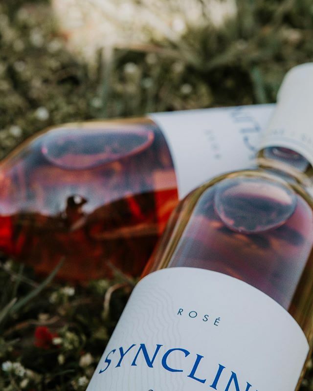 Syncline Winery tweet media