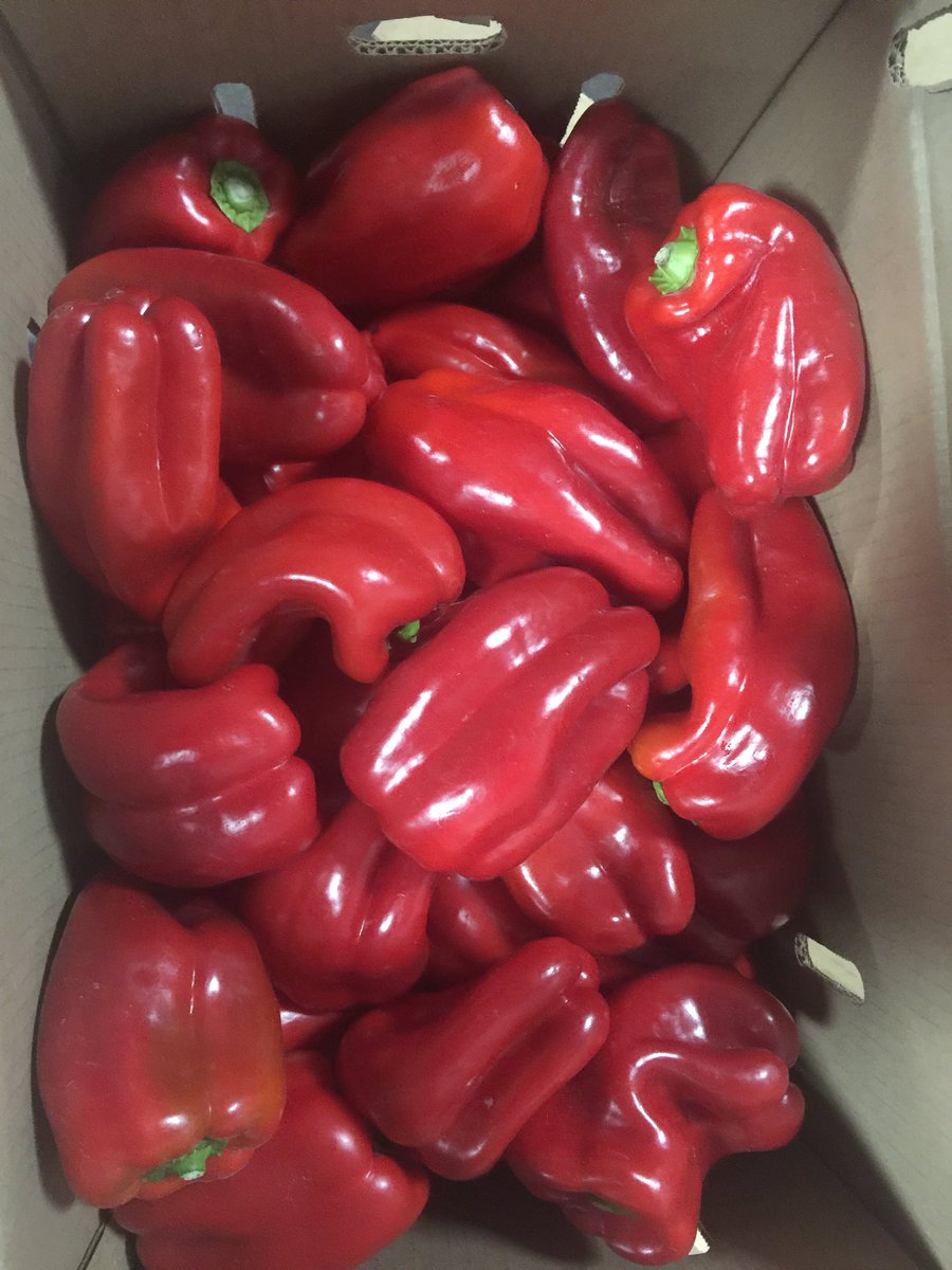 QuebecDistCo's tweet image. Eat Fresh!!!! 😇