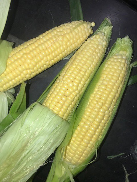 QuebecDistCo's tweet image. Eat Fresh!!!! 😇