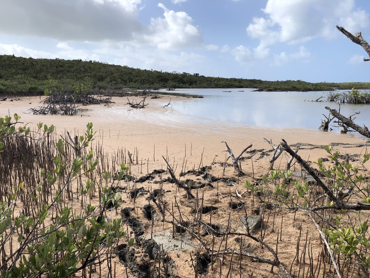 Prescott Vayda tweet media