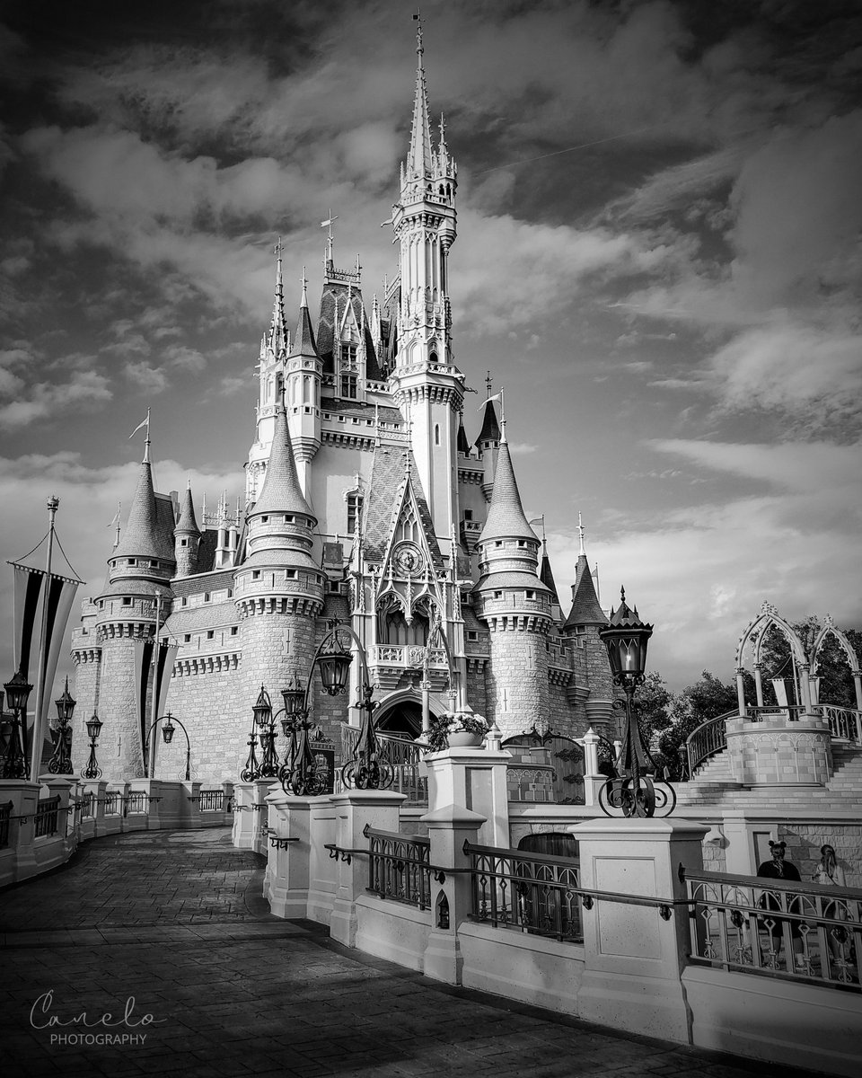 JoseEdu87's tweet photo. https://t.co/z9ZiHjZkS1 👈🏽
#photography #fotografía #pintofotografia #castillo #cenicienta #cinderella #casttle #photooftheday #picoftheday #disney #MagicKingdom #bnw #blackandwhite #blackandwhitephotography https://t.co/THyb1mK0wK
