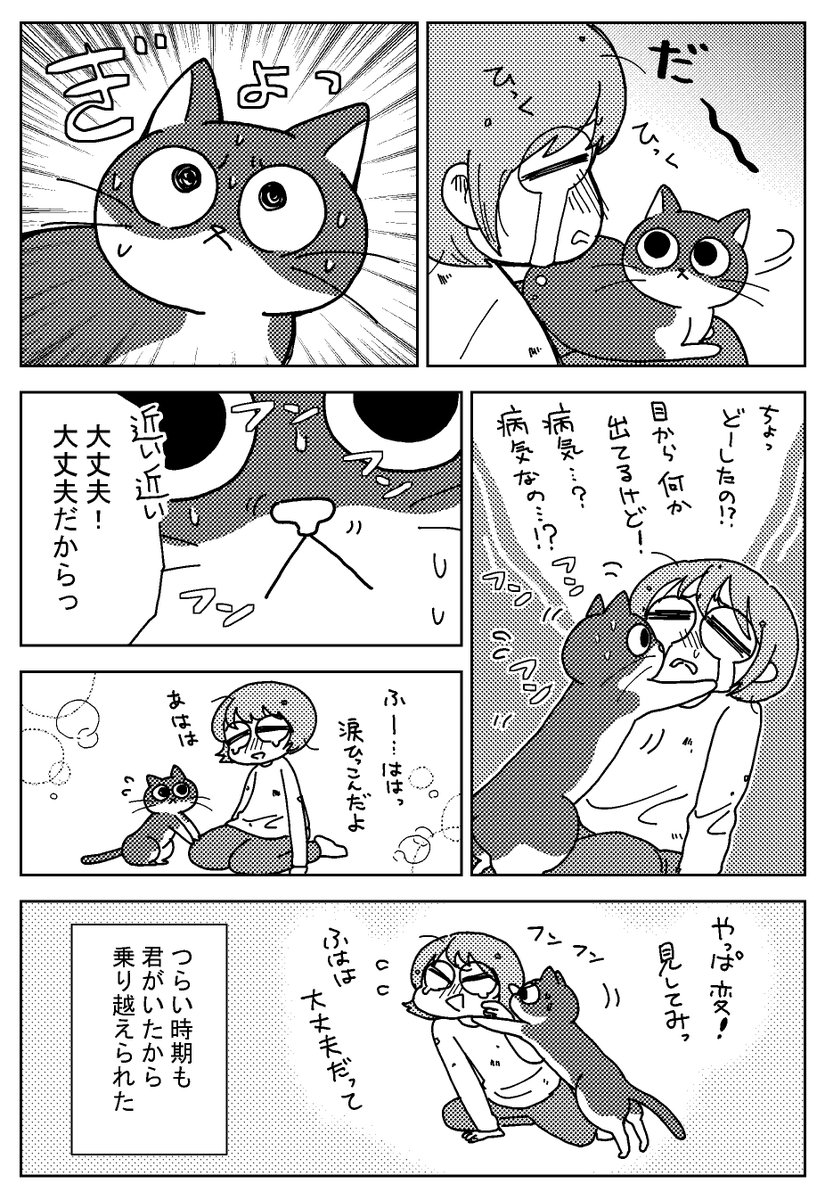 アシスタント時代、猫に心配された話。 